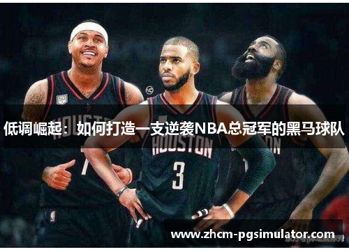 低调崛起：如何打造一支逆袭NBA总冠军的黑马球队