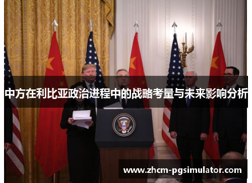 中方在利比亚政治进程中的战略考量与未来影响分析