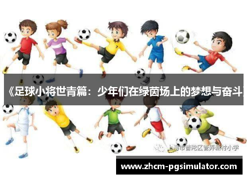 《足球小将世青篇：少年们在绿茵场上的梦想与奋斗》