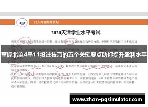 掌握北单4串11投注技巧的五个关键要点助你提升盈利水平