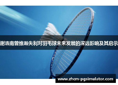 谢浩南曾维瀚失利对羽毛球未来发展的深远影响及其启示