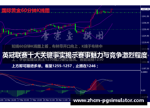 英冠联赛十大关键事实揭示赛事魅力与竞争激烈程度