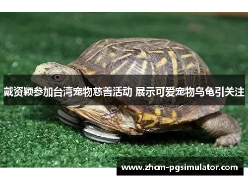 戴资颖参加台湾宠物慈善活动 展示可爱宠物乌龟引关注