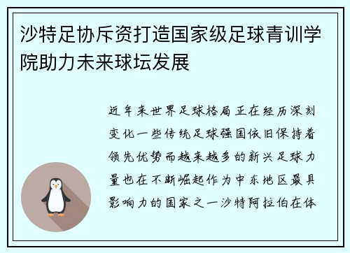 沙特足协斥资打造国家级足球青训学院助力未来球坛发展